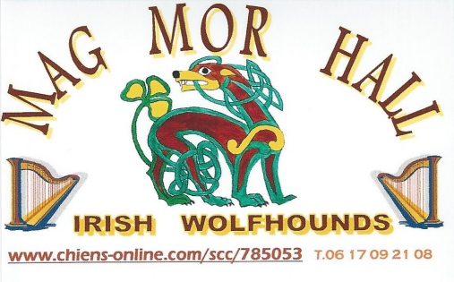Affixe of Mag Mor Hall Création et réalisation d'un logo pour un élevage de chiens